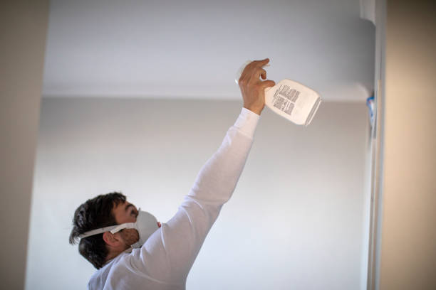 Professional Mold Removal in Dickson, OK