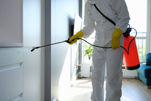 Best Mold Remediation  in Dickson, OK